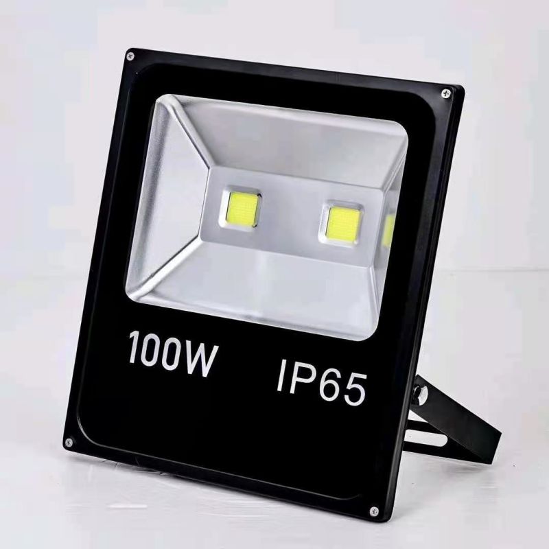 LED Flood Light