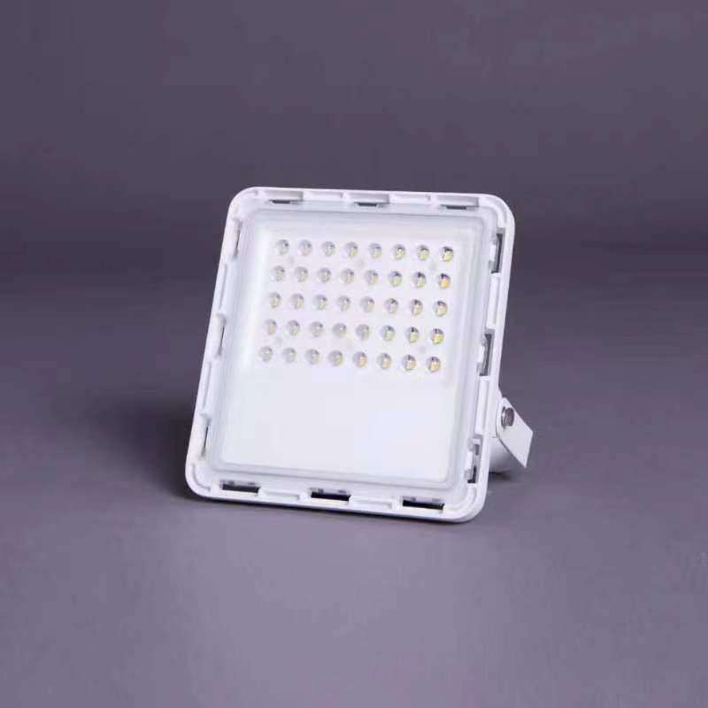 LED Flood Light