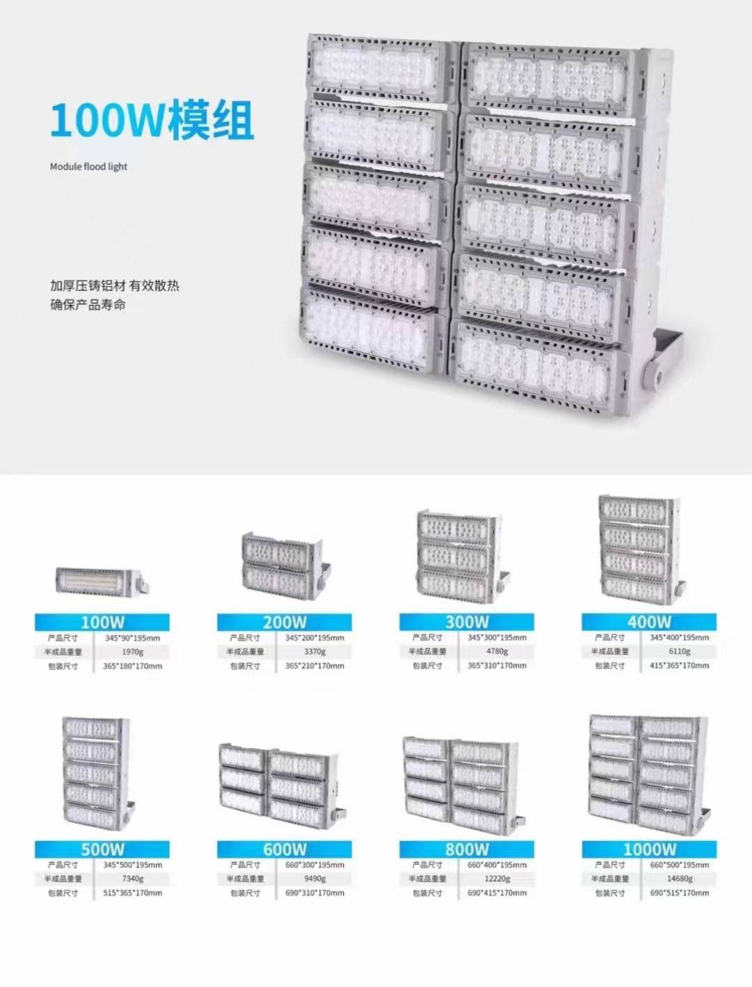 LED Module Flood Light