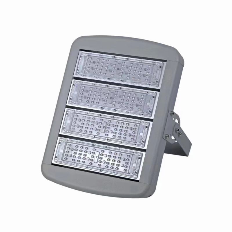 Module LED Flood Light